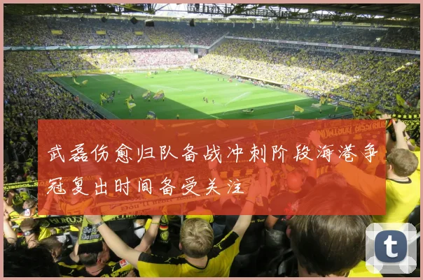 武磊伤愈归队备战冲刺阶段海港争冠复出时间备受关注